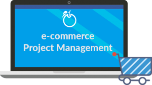 Your Ecommerce Company Project Management Guide – Guest Post By E Commerce Expert Patrick Foster, Project Management Blog