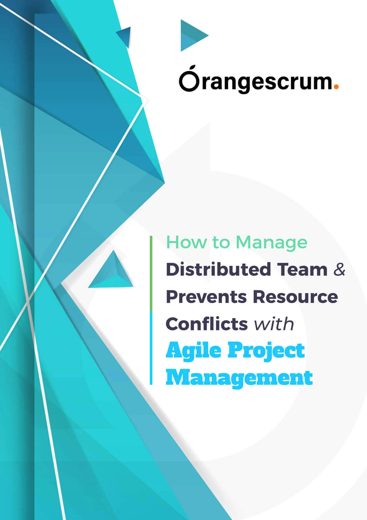 How to Manage Distributed Team & Prevents Resource Conflicts with Agile Project Management